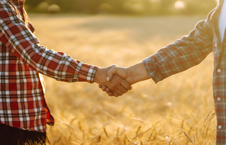 Two farmers standing in a wheat field and shake hands at sunset
